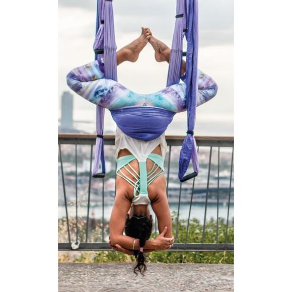 YOGABODY Practice is Everything Yoga Trapeze Ceiling Bar Swing Hooks RARE Purple - Picture 1 of 11